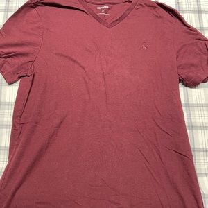Express Men’s VNeck Shirt